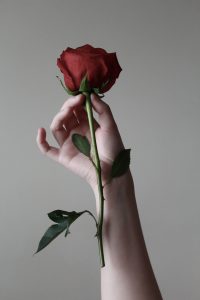 Foto de Meghan Schiereck en Unsplash